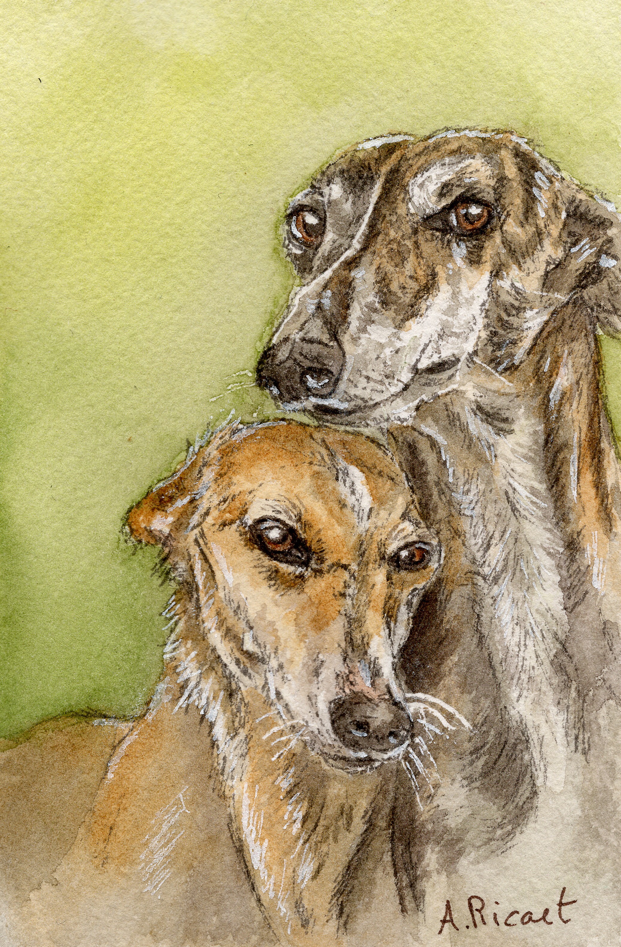 Sweet dogs